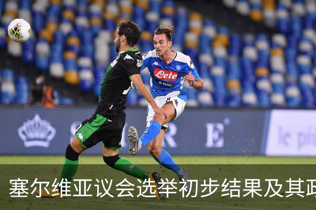塞尔维亚议会选举初步结果及其政治影响分析